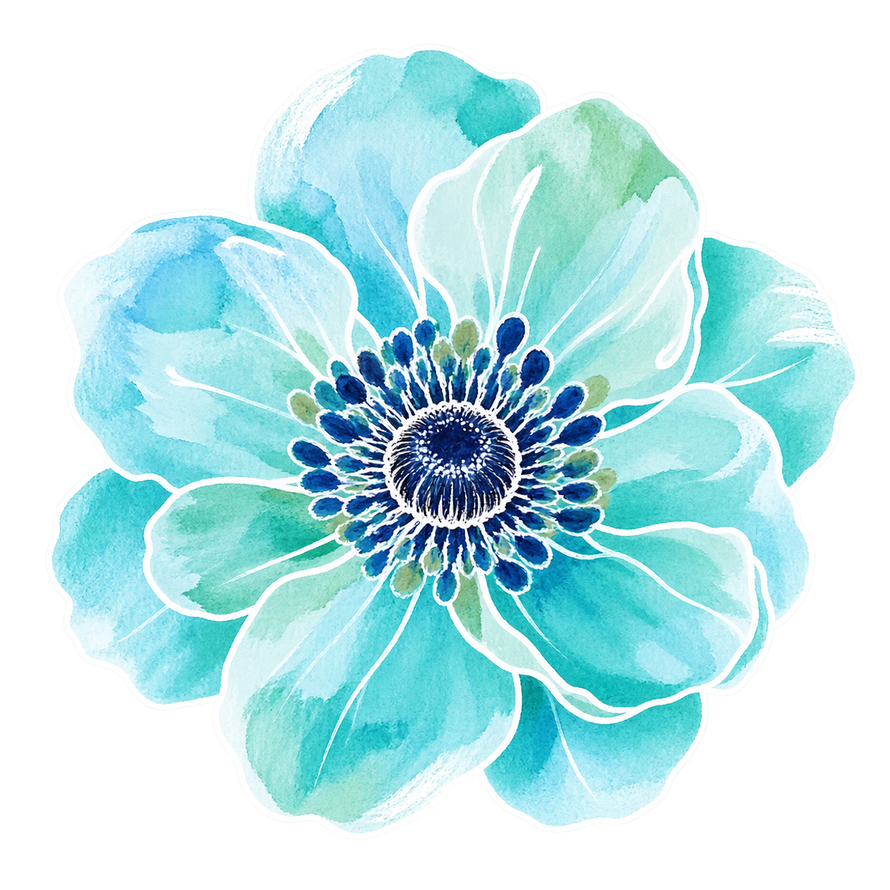 anemone illustration