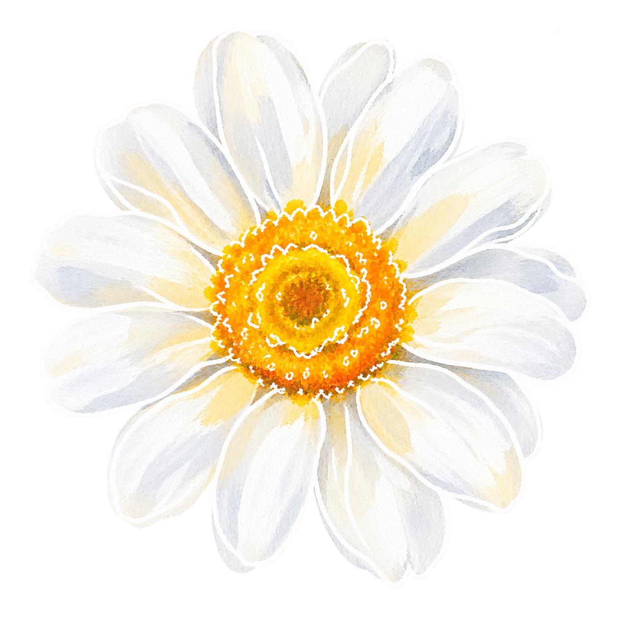 cosmos illustration